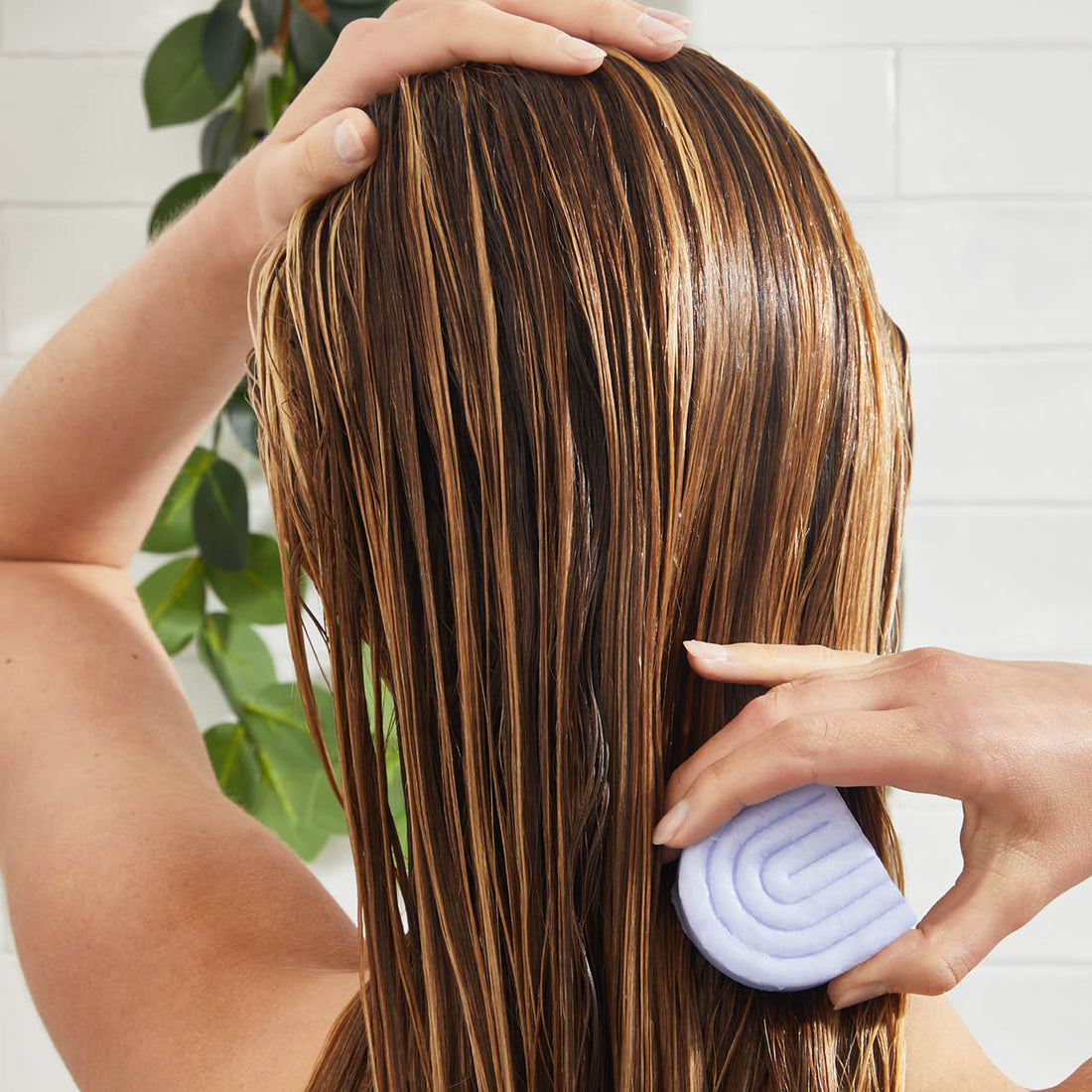 Purple Toning Conditioner Bar for Color-Treated & Grey Hair